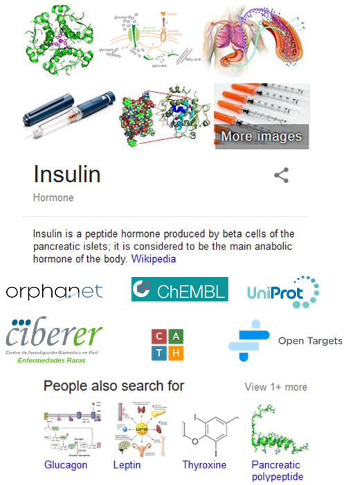 Insulin summary on a search engine