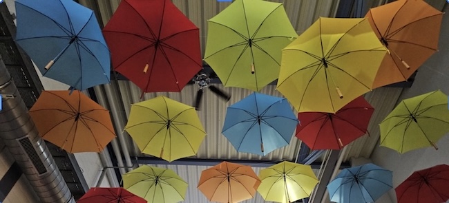 Colourful umbrellas mounted the ceiling as art.